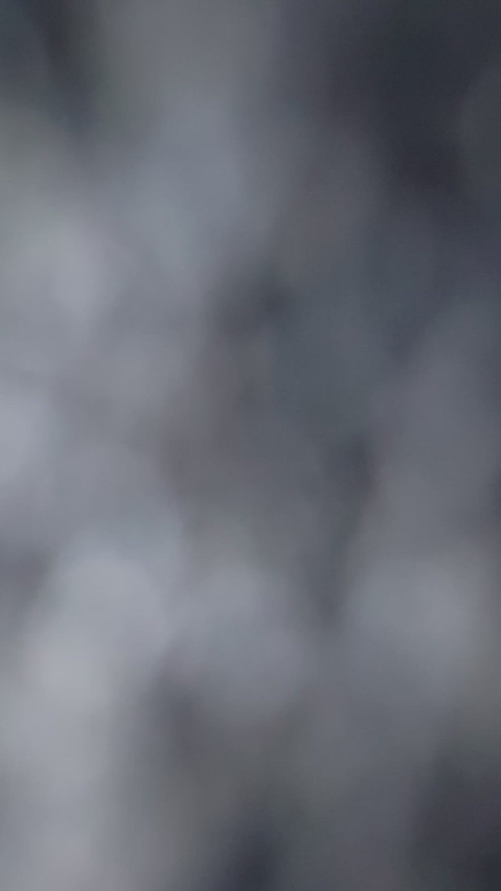 Bear Down Crewneck Sweatshirt